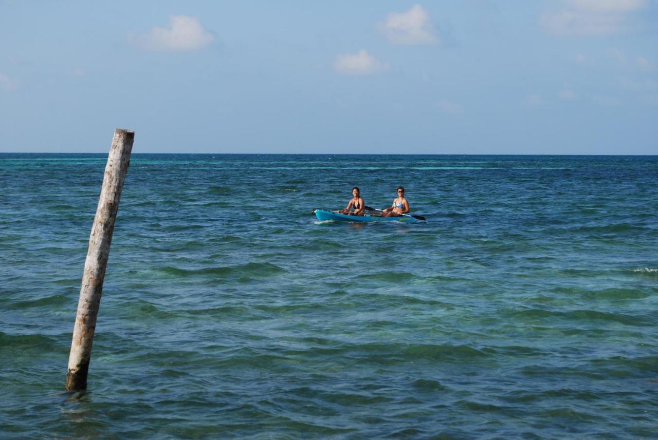 Caye Caulker Condos المظهر الخارجي الصورة